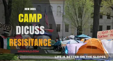 Camp's Role in Exploring Resistance: Themes, Tactics, and Transformation