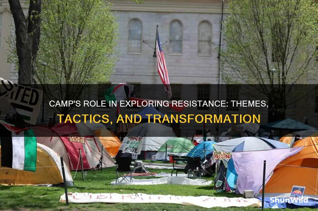 how does camp dicuss resisitance