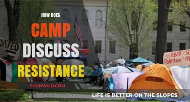 Exploring Camp's Role in Shaping Resistance Narratives and Strategies