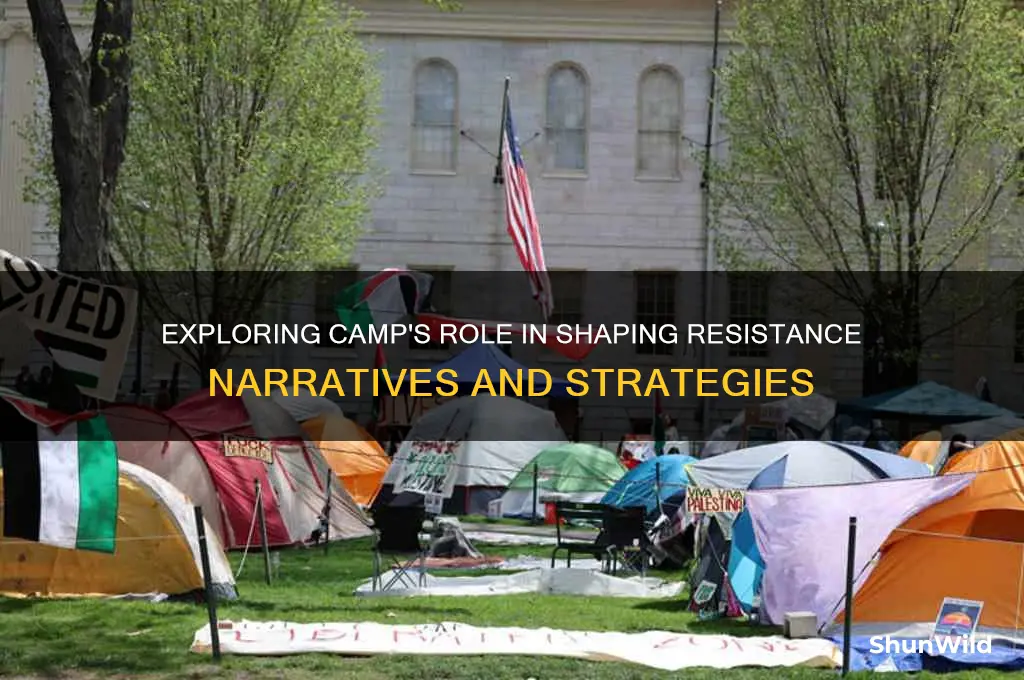 how does camp discuss resistance