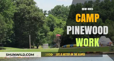 Understanding Camp Pinewood's Operations: A Comprehensive Guide to Its Functionality