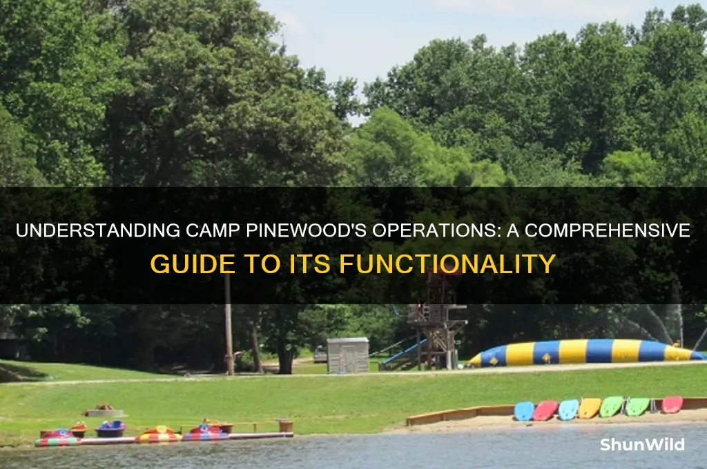 how does camp pinewood work