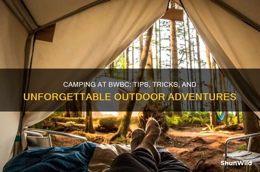 how does camping at bwbc