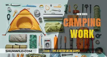 Camping 101: Essential Tips for a Successful Outdoor Adventure