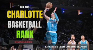 Charlotte's Basketball Journey: From Underdogs to Champions