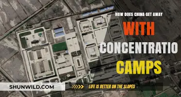 China's Uyghur Detention Camps: Global Silence and Complicity Explained