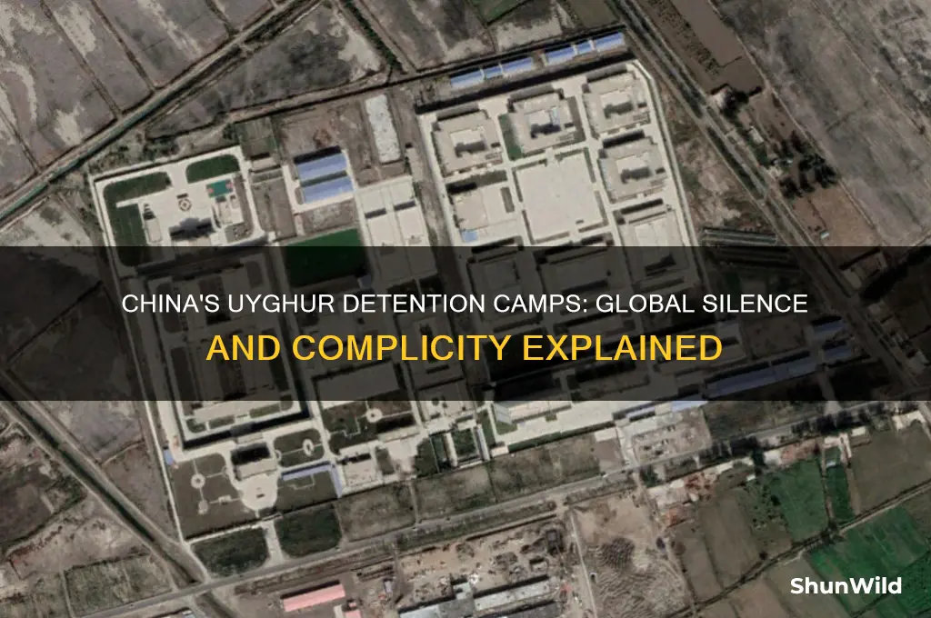 how does china get away with concentration camps