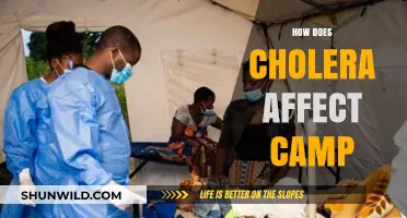 Cholera's Impact on Camps: Risks, Prevention, and Community Health Strategies