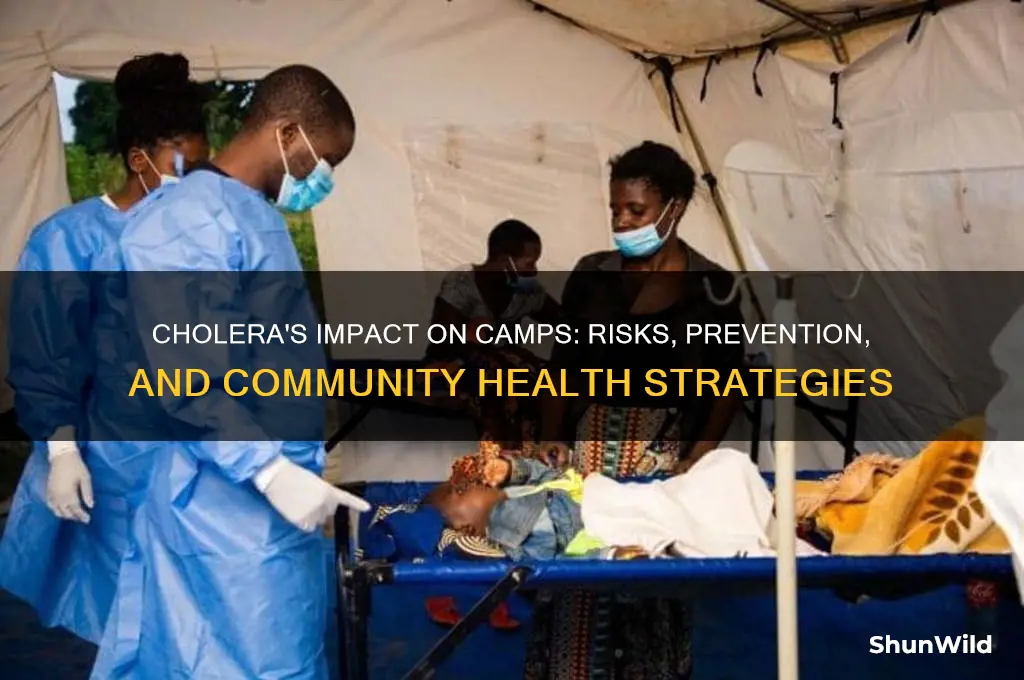 how does cholera affect camp