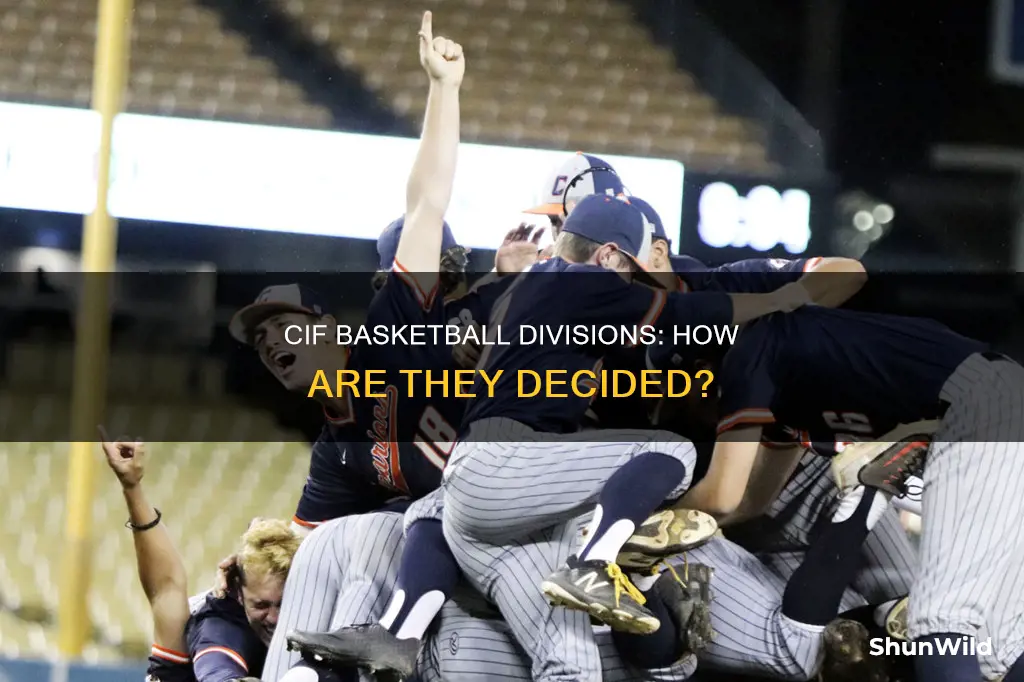 how does cif determine divisions in basketball