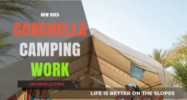 Coachella Camping Guide: Tips, Rules, and What to Expect