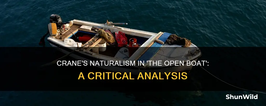 how does crane express naturalism in the open boat