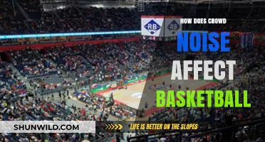 Crowd Noise: Impacting Basketball Performance