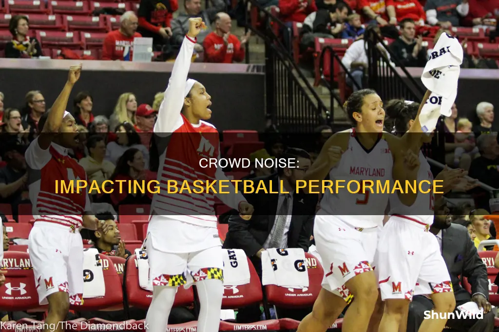 how does crowd noise affect basketball