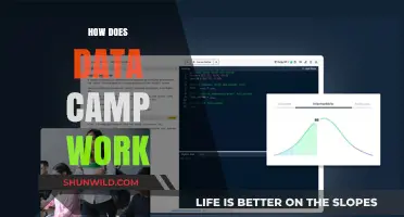 How DataCamp Works: A Comprehensive Guide to Learning Data Science