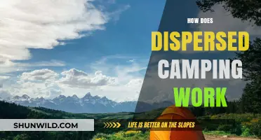 Understanding Dispersed Camping: Rules, Tips, and How It Works