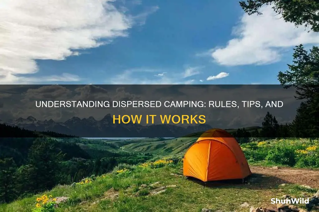 how does dispersed camping work