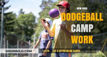Dodge, Duck, Dip: A Guide to Fun at Dodgeball Camp