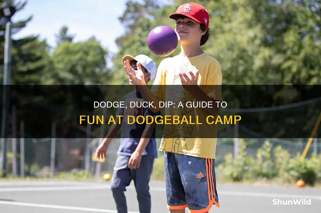 how does dodgeball camp work