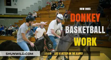 Donkey Basketball: How Does This Sport Work?