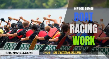 Dragon Boat Racing: Paddling in Sync