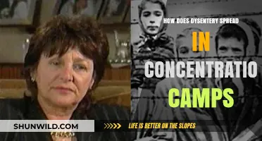 Dysentery's Deadly Spread: Uncovering Transmission in Concentration Camps
