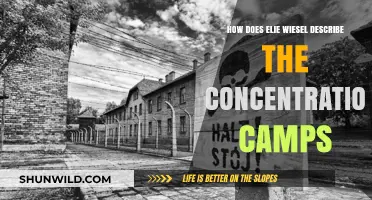 Elie Wiesel's Haunting Depiction of Concentration Camp Horrors