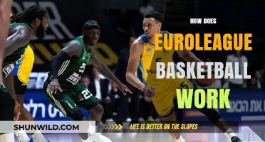 Euroleague Basketball: How the Competition Works