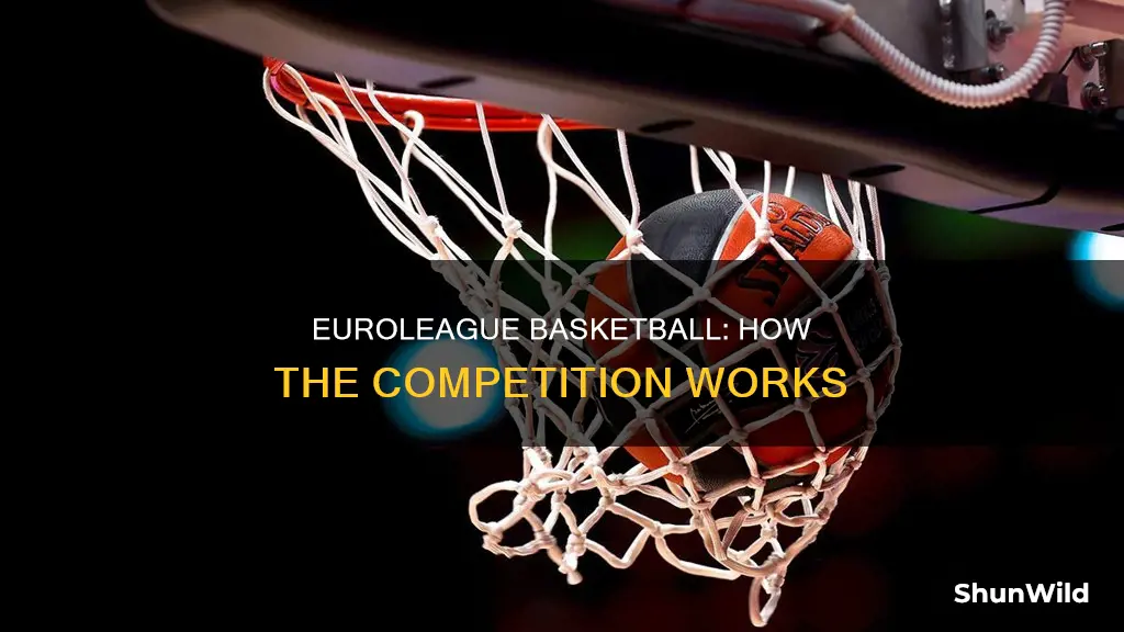 how does euroleague basketball work