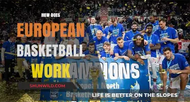European Basketball Explained: League Structure and More