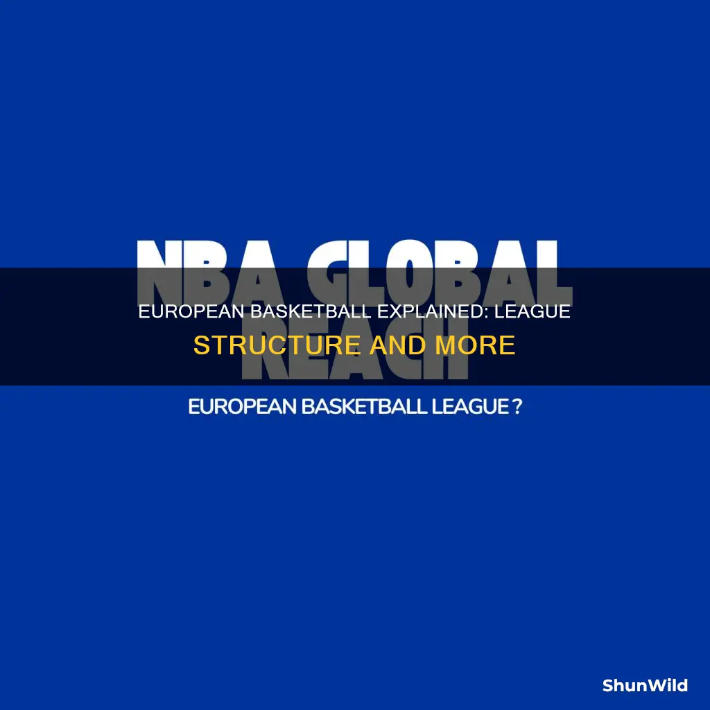how does european basketball work