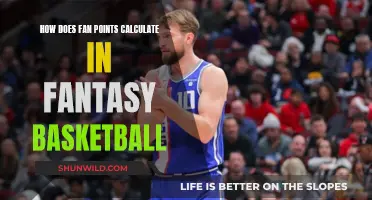 Fantasy Basketball Fan Points: Calculation and Strategy