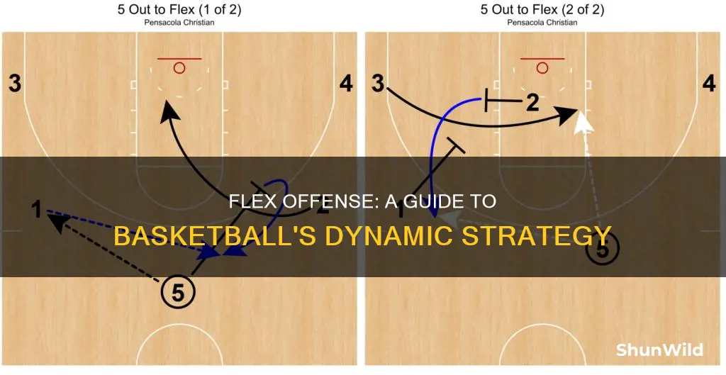 how does flex offense work basketball
