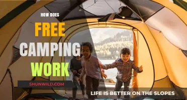 Understanding Free Camping: Tips, Rules, and How to Get Started