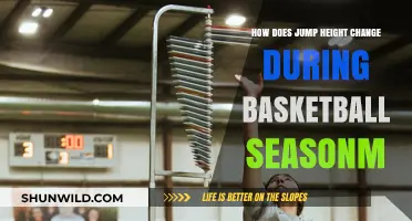 Jump Performance: In-Season Variation