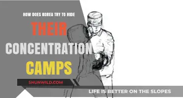 North Korea's Hidden Camps: Concealment Tactics and Global Silence