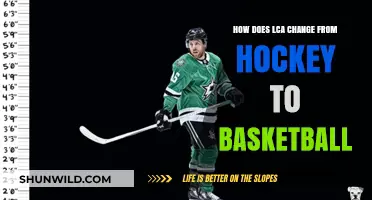 LCA: Hockey vs. Basketball - A Visionary's Guide