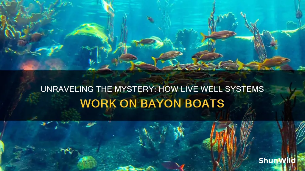 how does live well in bayon boat work