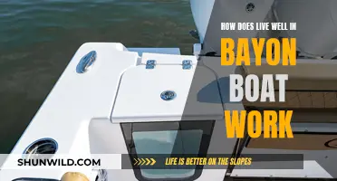 Living Well in a Bayon Boat: Tips and Tricks