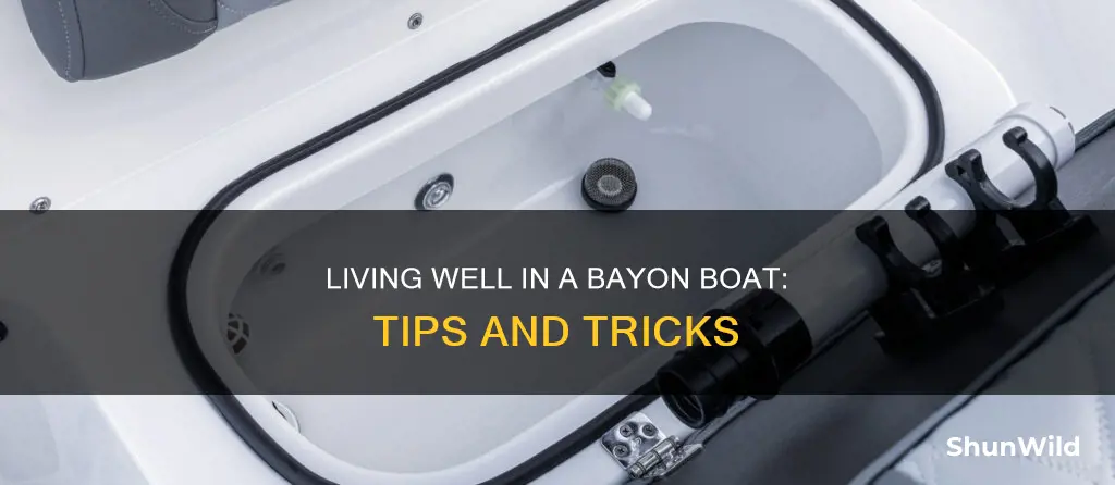 how does live well in bayon boat work