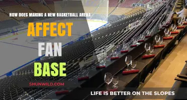 Basketball Arenas: Fan Experience and Growth