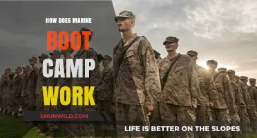 Understanding Marine Boot Camp: Training, Challenges, and Transformation Process