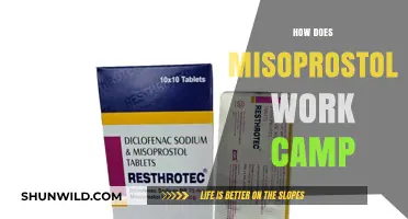 Understanding Misoprostol's Mechanism in Medical Camps: A Comprehensive Guide