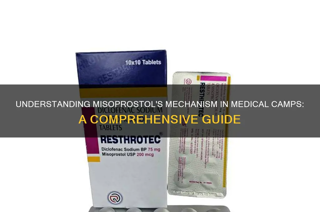 how does misoprostol work camp