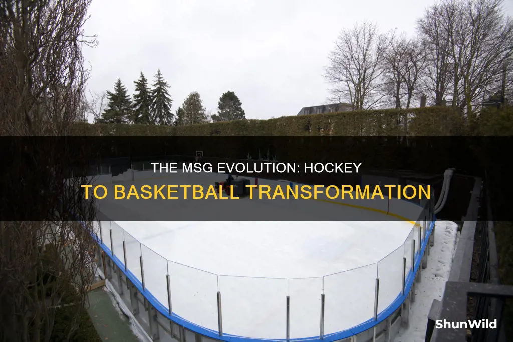 how does msg change from hockey to basketball