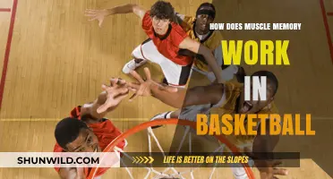 Muscle Memory: Basketball's Secret Weapon