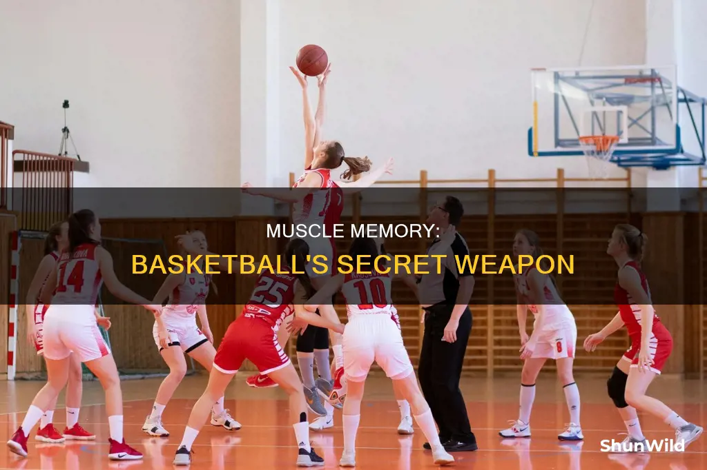 how does muscle memory work in basketball