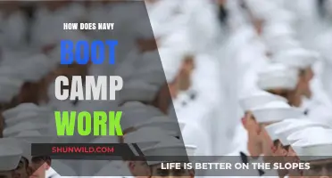 Understanding Navy Boot Camp: Training, Challenges, and Transformation Explained