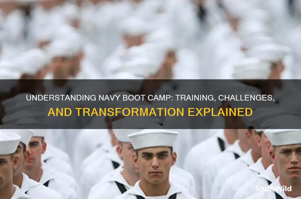 how does navy boot camp work