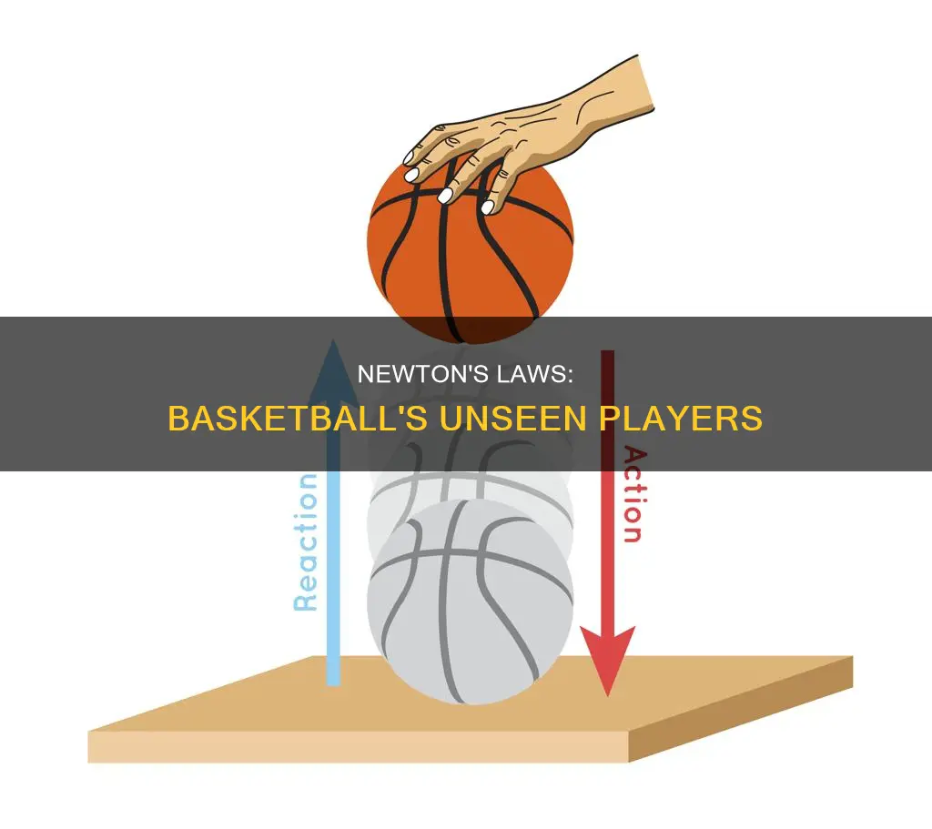 how does newtons la apply to basketball